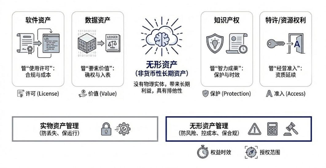 软件、数据、知识产权与特许权利